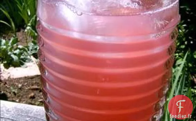 Chutney aux Oignons Rouges aux Canneberges