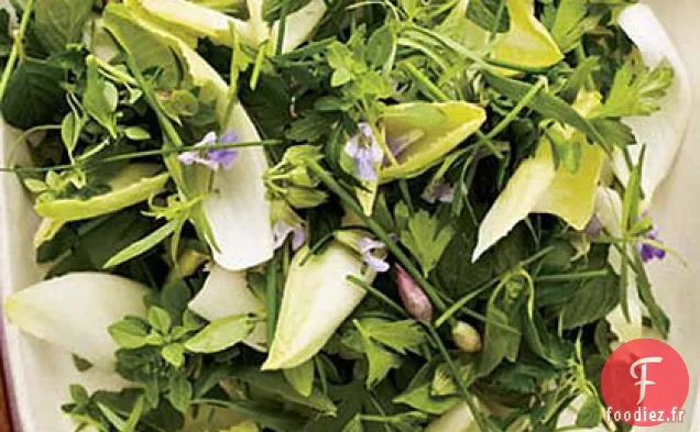 Salade d'Herbes et d'Endives avec Vinaigrette Crémeuse au Citron Vert
