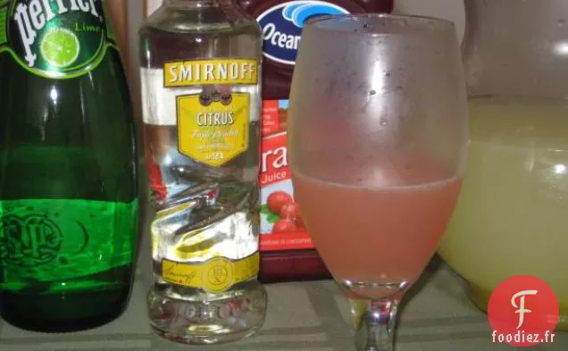 Canard Sauvage Rôti À La Sauce Aux Canneberges