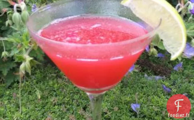 Tequila Oiseau Moqueur