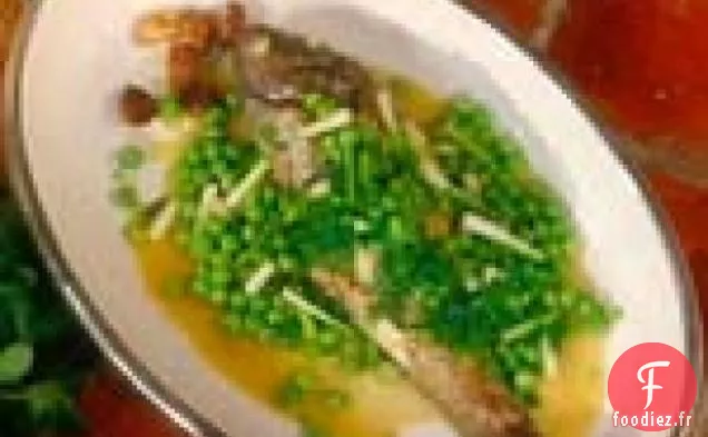 Porgy, Style Romain: Pagro alla Romana