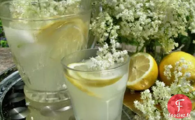 Prélude à l'été - Cordial à la Fleur de Sureau Anglaise à l'ancienne