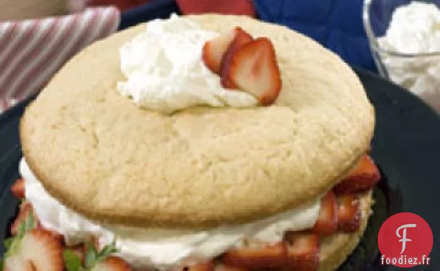 Shortcake aux Fraises Classique