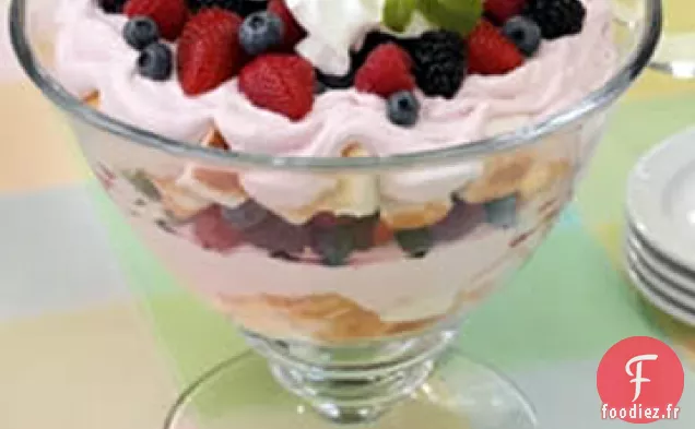 Bagatelle de Pudding aux Baies