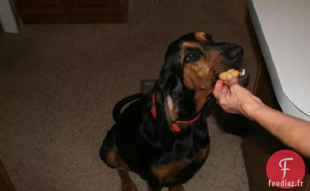 Gâteau d'Anniversaire pour Chien