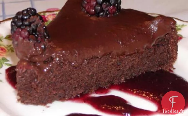 Gâteau au Chocolat Décadent sur un lit de sauce aux Framboises