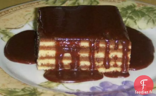 Gâteau au Poulet au Chocolat