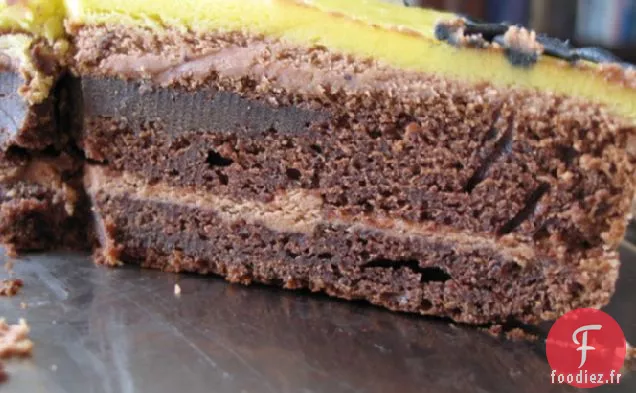 Meilleur Gâteau Au Fudge Au Chocolat Jamais Riche