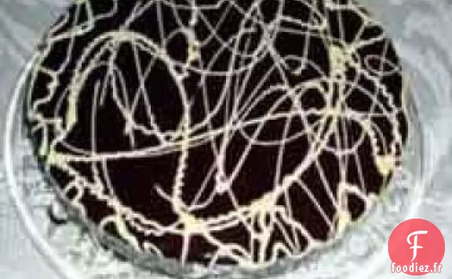 Gâteau au Fromage Au Chocolat Spécial
