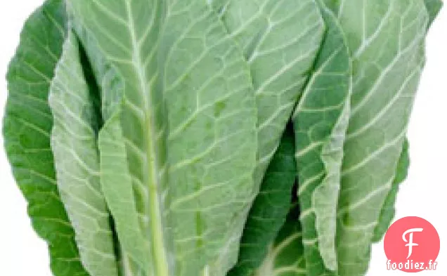 Les Verts de Collard