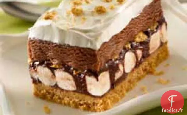 Gâteau à la Crème Glacée S'mores