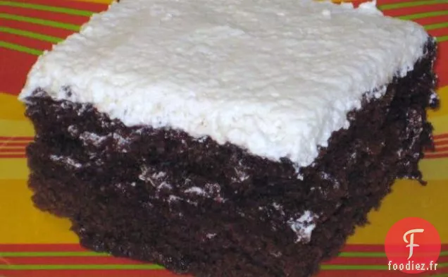 Gâteau au Chocolat aux Haricots Noirs