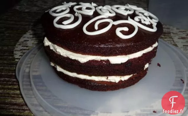 Gâteau de Boîte à Glace de Gaufrette au Chocolat