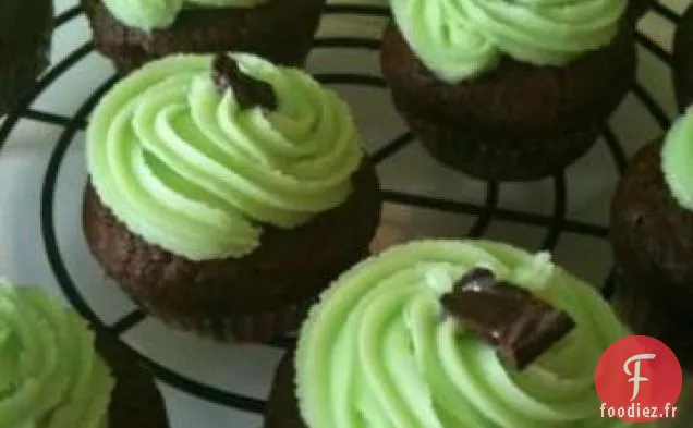 Cupcakes Au Chocolat à la Menthe