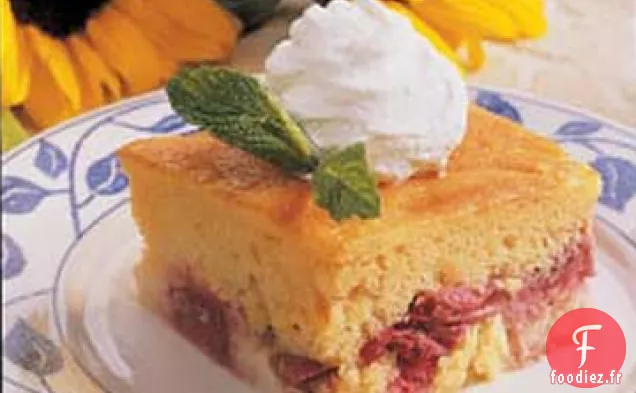 Gâteau à la Crème à la Rhubarbe