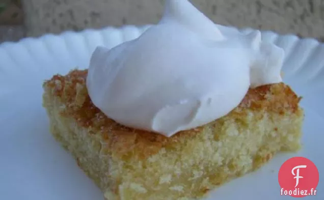 Gâteau Éponge Japonais (Kasutera)