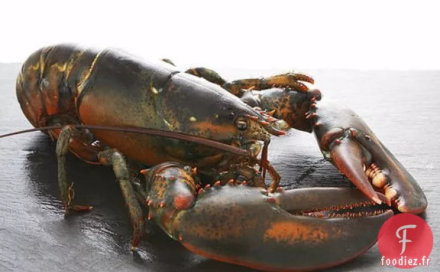 Salade de Homard, Tomate et Maïs Sucré avec Vinaigrette à l'Ail
