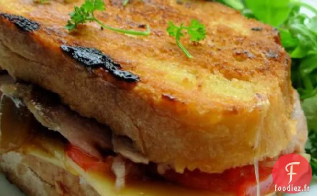 Un Sandwich à la Dinde Grillée et au Provolone