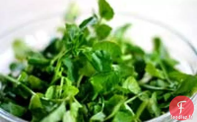 Salade de Cresson Flétrie