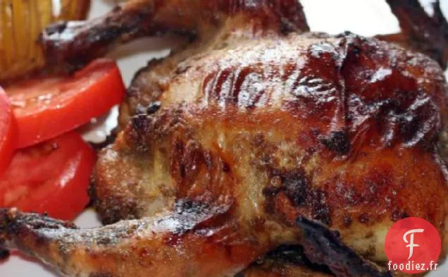 Poules de Cornouailles Habillées