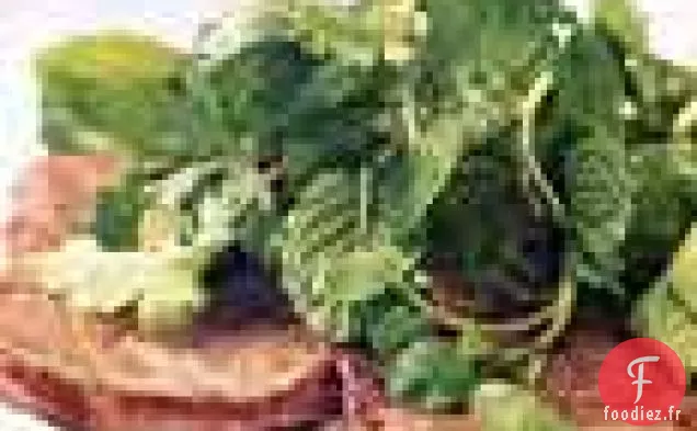 Paillards de Bœuf au Cresson et Salade d'Herbes