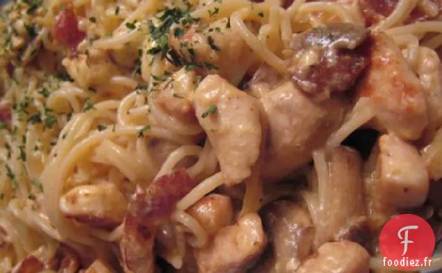 Pâtes au Poulet à la Crème Sure et Sauce au Fromage (Zwt3 Western)