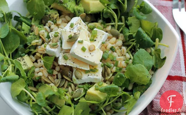 Orge, Avocat Et Fromage Brie