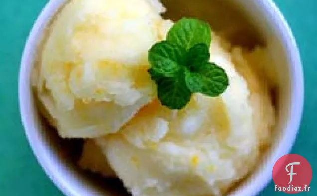 Sorbet Citron Meyer