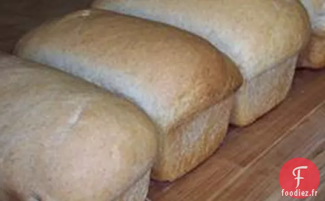 Pain De Blé Entier Facile