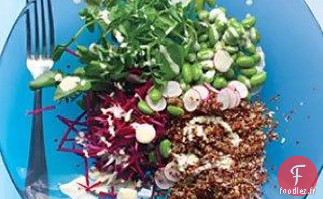 Salade De Quinoa Et Légumes Avec Vinaigrette Au Tahini