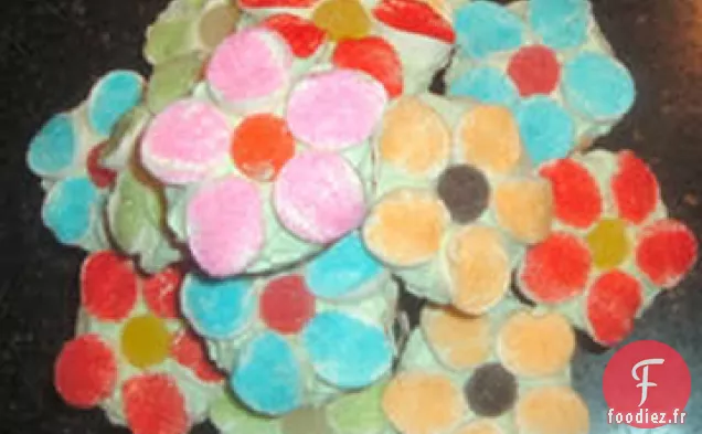 Biscuits au Réfrigérateur avec des Pépites de Chocolat