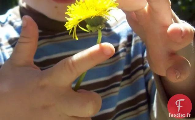 Thé À La Racine De Pissenlit Pour Un Nettoyage Doux Du Foie