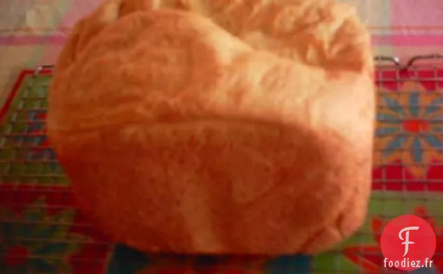pain de fromage cottage à l'aneth