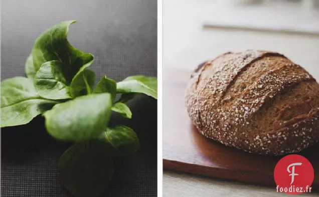 Tartine aux Oignons caramélisés + verts