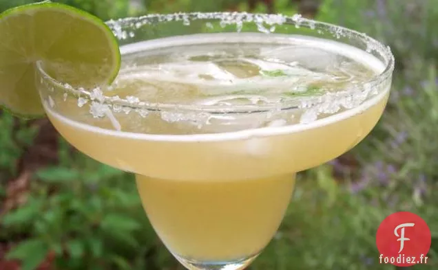 Grand Margarita à la Coriandre