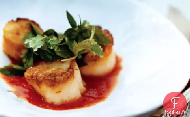 Pétoncles de Mer Poêlés avec Sauce à la Citronnelle et Salade de Basilic, Menthe et Coriandre