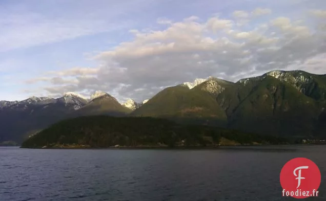 Saumon Cuit Au Four Avec Sauce Crémeuse À L'Aneth