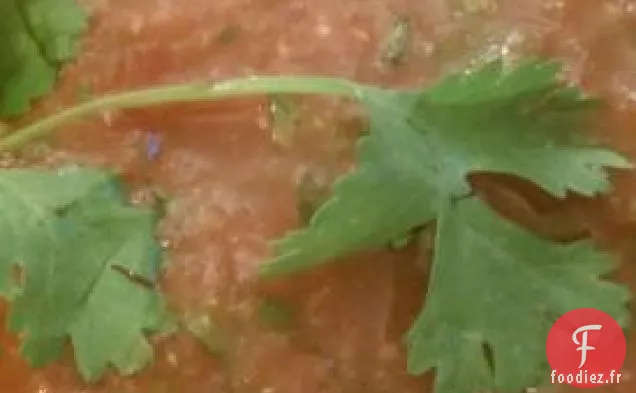 Salsa de Tomates de Jardin