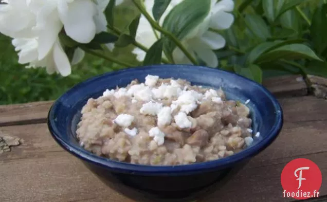Barres de yogourt Key Lime (Splenda)