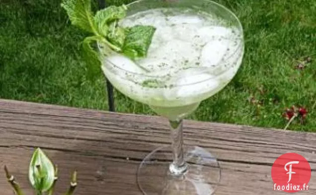 Mojito Cubain