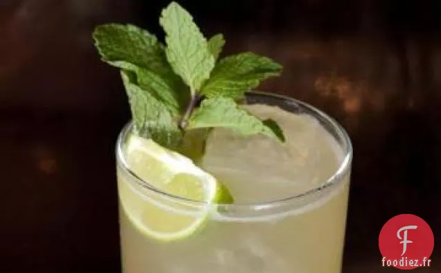 Paloma Mexicaine