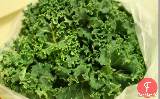 Chou Frisé Végétalien
