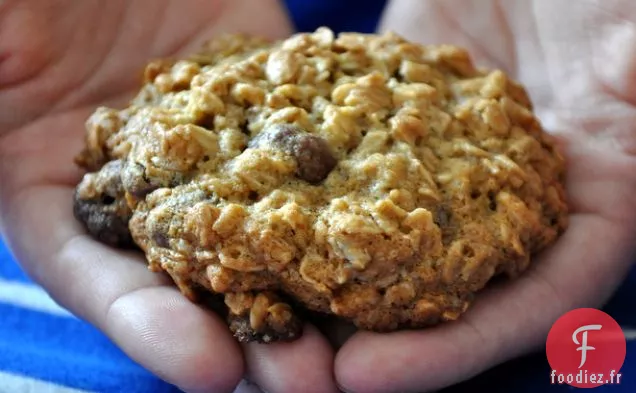 Biscuits à l'avoine avec des Canneberges Enrobées de Chocolat