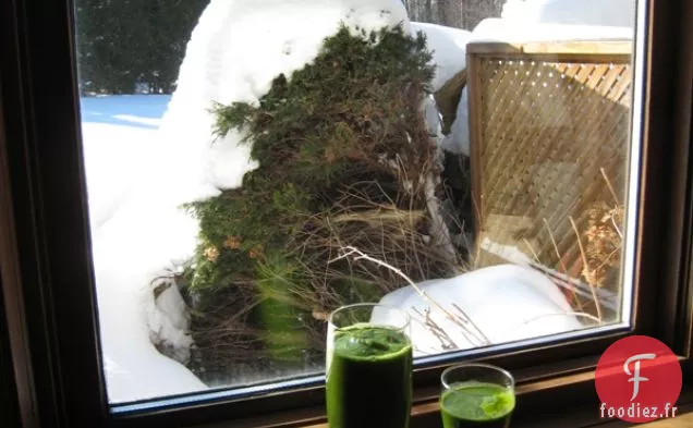 Smoothie au Chou Frisé