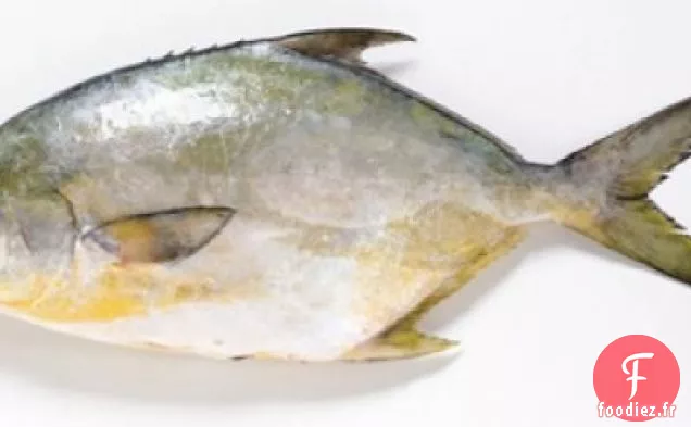 Pompano Rôti Avec Salsa Avacado À L'Orange Sanguine, Butte De Coriandre