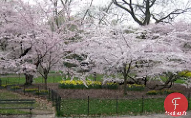 Une Salade Printanière De Chou Frisé Noir, De Courge Kabocha, De Fromage Cheddar, Un