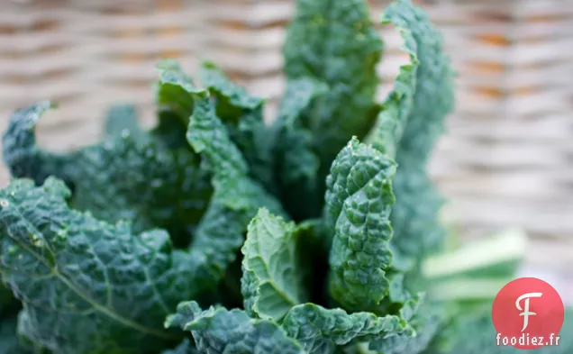 Salade De Chou Frisé Végétalien Cru À l'Orange Sanguine et à l'Avocat