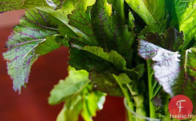Nouveaux Verts Du Sud