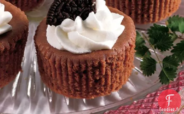 Mini Gâteaux au Fromage Au Chocolat