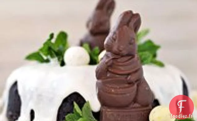 Gâteau de Lapin de Pâques au Chocolat